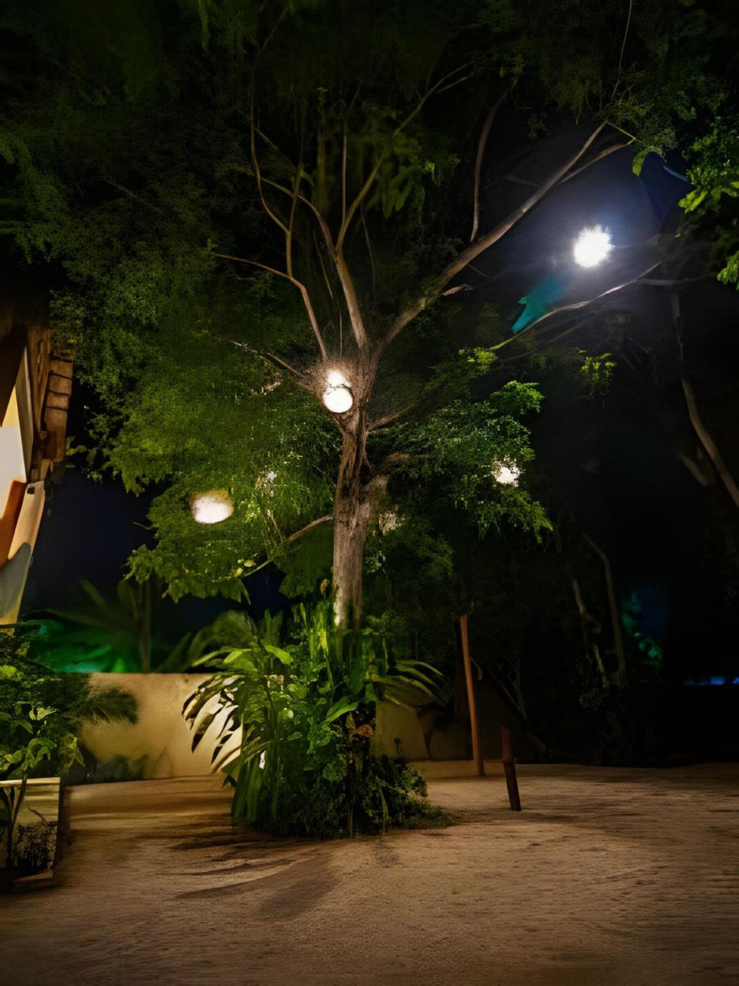 Casa De Piedra - Departamentos Bacalar- Apartment Ngoại thất bức ảnh